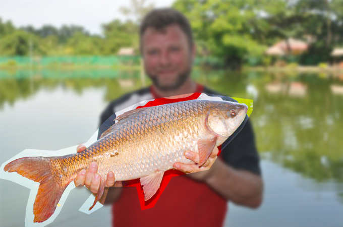 プーケットフィッシングパーク / PHUKET FISHING PARK